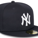 (MLB.com screenshot/New York Yankees)